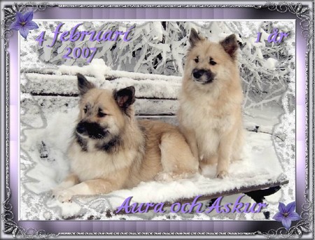 1year07