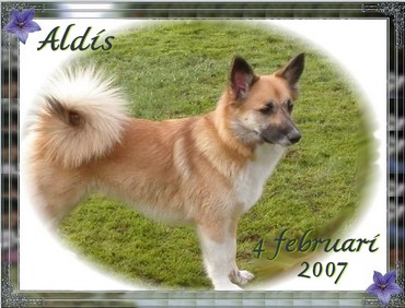aldis1year07