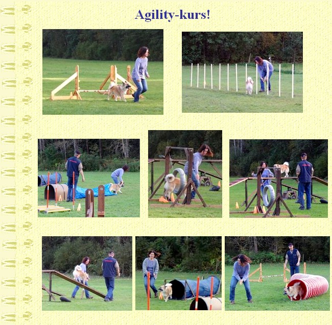 aldursept107