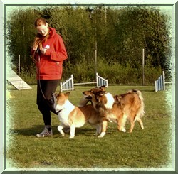 alfurmaj2007