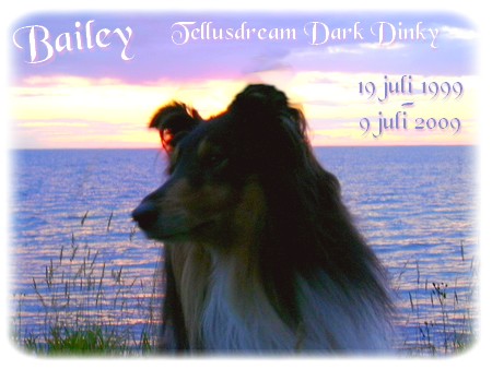 baileyminne2