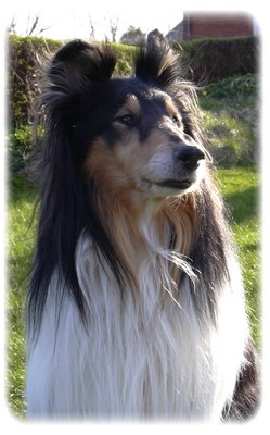 baileyminne4