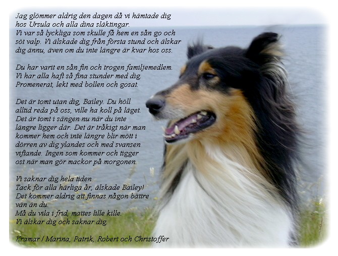 baileyminne6