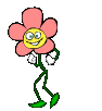 blomma1