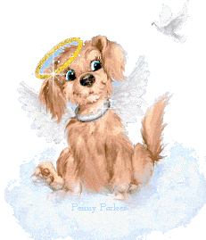 himmelshund