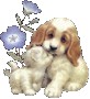 hugdogcat hugdogcat