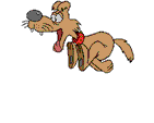 hundgalopp