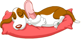 hush-puppy_anim1 hush-puppy_anim1