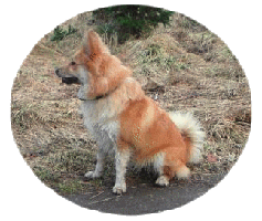 krossamars07