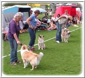 utstboras070701