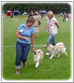 utstboras12070701