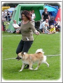 utstboras19070701